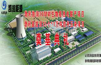 勃利xk体育生物质热电联产项目奠基典礼圆满落幕